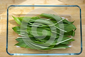 Allium ursinum edible and heathy leaves on wooden table in oblong glass bowl