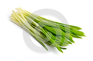 Allium ursinum, known as wild garlic, ramsons, buckrams, broad-leaved garlic, wood garlic, bear leek or bear`s garlic.