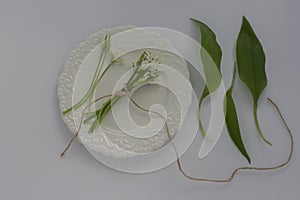 Allium ursinum wild bears garlic flowers in bloom, white rmasons buckrams flowering plants and green edible leaves on plate