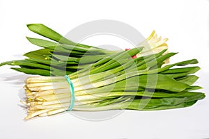 Allium ursinum â€“ known as ramsons, buckrams, wild garlic, broad-leaved garlic, wood garlic, bear leek, or bear`s garlic isolate