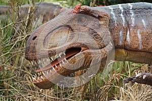 Allosaurus - Allosaurus fragilis