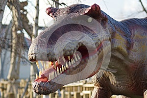 Allosaurus - Allosaurus fragilis