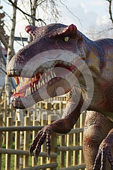 Allosaurus - Allosaurus fragilis