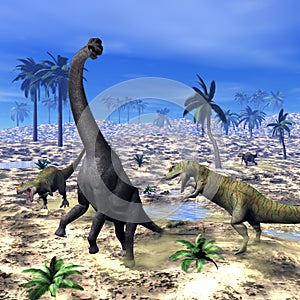 Allosaurus attacking brachiosaurus dinosaur - 3D