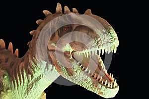 An Allosaurus Dinosaur Against a Black Background