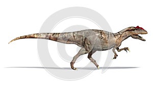 Allosaurus dinosaur, side view, 3d illustration