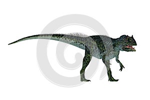 Allosaurus Dinosaur was a large Jurassic theropod predatory dinosaur photo