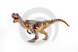 Allosaurus ,dinosaur on white background