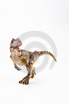 Allosaurus ,dinosaur on white background