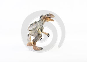 Allosaurus  ,dinosaur on white background