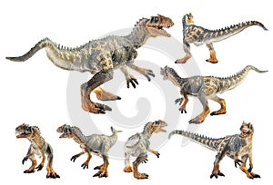 Allosaurus  ,dinosaur on white background