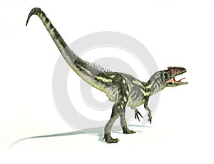 Allosaurus Dinosaurus, photorealistic representation, dynamic po