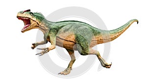 Allosaurus fragilis with attack or aggressive pose isolated on white background. Dinosaur realistic and scientific reconstitution