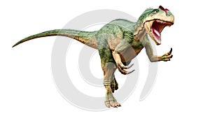 Allosaurus fragilis with attack or aggressive pose isolated on white background. Dinosaur realistic and scientific reconstitution photo