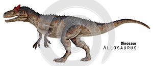 Allosaurus illustration