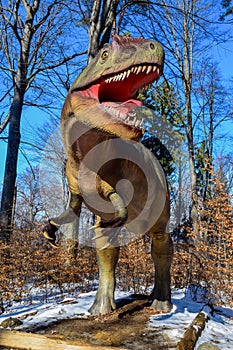 Allosaurus in the park