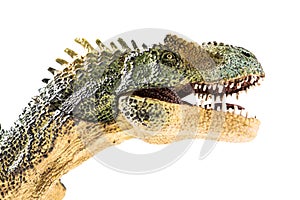 Allosaurus plastic figurine on white background