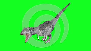 Allosaurus Walking On Green Screen Background. World of Dinosaurs