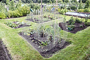 Allotment