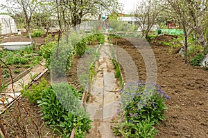 Allotment garden path