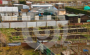 Allotment plots in rows