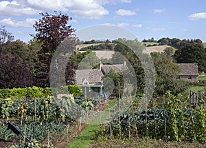 Allotments at Guiting Power, Cotswolds, Gloucestershire, England photo