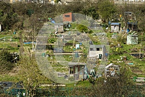 Allotments between houses and main railway line photo