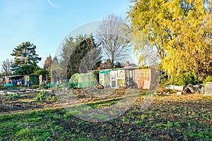 Allotments, side view on a brigh sunny autumn day. photo