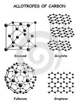 Allotropes of Carbon Infographic Diagram