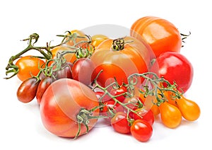 Allsort tomatoes