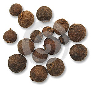 Allspice photo