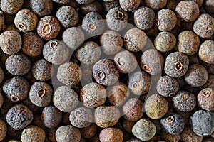 Allspice berries pattern - aromatic plant allspice wallpaper - allspice seeds - Jamaica pepper, myrtle pepper, kitchen wallpaper