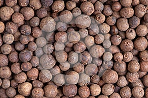 Allspice (jamaica pepper)