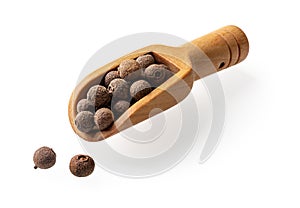 Allspice jamaica pepper in a small wooden scoop cutout. Wooden spice shovel full of dried pimento berries isolated on a white