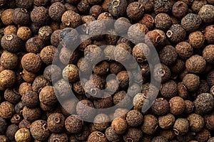 Allspice jamaica pepper texture background. Dried brown berries of the Pimenta dioica tree. Concepts of organic spices, seasonings