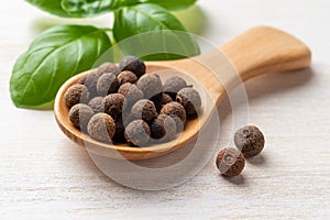 Allspice jamaica pepper in a wooden spoon near fresh basil leaves on a white wooden table. Dried berries of the Pimenta dioica