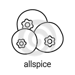 Allspice, pimento linear icon