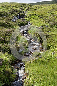 Allt Molach, Rannoch Moor