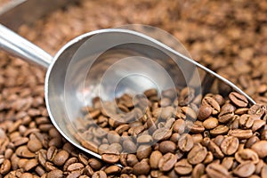 Alluminium coffee scoop with coffe beans