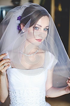 Alluring bride looks through the veil