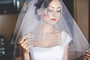 Alluring bride looks through the veil