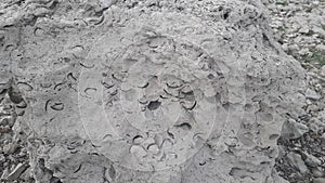 alluvium with shells