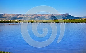 Almansa embalse reservoir pink flamingos