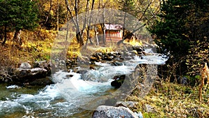 Almaty    Almarasan Kazahstan Forest   River