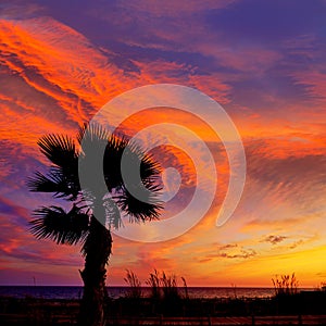 Almeria Cabo de Gata sunset pam trees Retamar