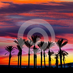 Almeria Cabo de Gata sunset pam trees Retamar