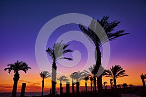 Almeria Cabo de Gata sunset in Retamar beach photo