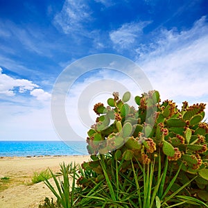 Almeria Mojacar beach Mediterranean sea Spain