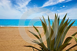 Almeria Mojacar beach Mediterranean sea Spain photo