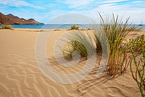 Almeria Playa Genoveses beach Cabo de Gata photo